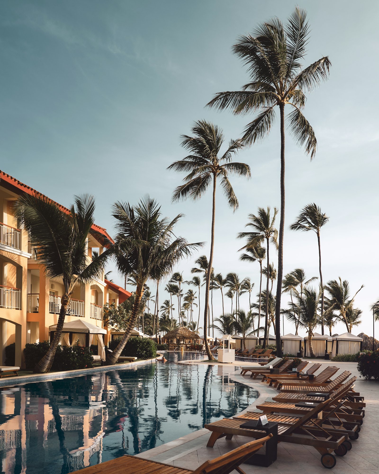 Palm-lined resort pool at golden hour